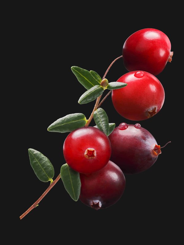 Quelle est la meilleure technique pour porter un col roulé sous une robe sans manches?